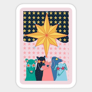 The Star Sticker